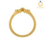 Closed Settings Rings - ADCSR - 006