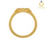 Closed Settings Rings – ADCSR – 011