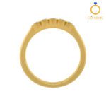 Closed Settings Rings - ADCSR - 013