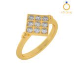 Closed Settings Rings – ADCSR – 014 Closed Settings Rings – ADCSR – 014