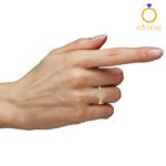 Closed Settings Rings – ADCSR – 014 Closed Settings Rings – ADCSR – 014