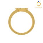 Closed Settings Rings - ADCSR - 017