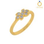 Closed Settings Rings - ADCSR - 019 Closed Settings Rings - ADCSR - 019