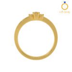 Closed Settings Rings - ADCSR - 029