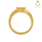 Closed Settings Rings - ADCSR - 032