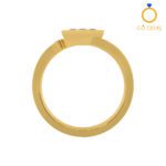 Closed Settings Rings - ADCSR - 038