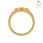 Closed Settings Rings - ADCSR - 039