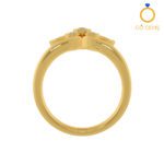 Closed Settings Rings - ADCSR - 072