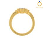 Closed Settings Rings - ADCSR - 073