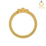 Closed Settings Rings - ADCSR - 075