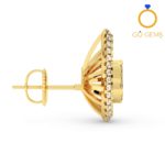 Designer Earrings - DCER - 0120