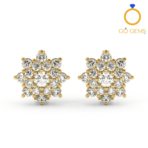 Designer Earrings - DCER - 0188