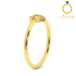 The Gaia Ring The Gaia Ring